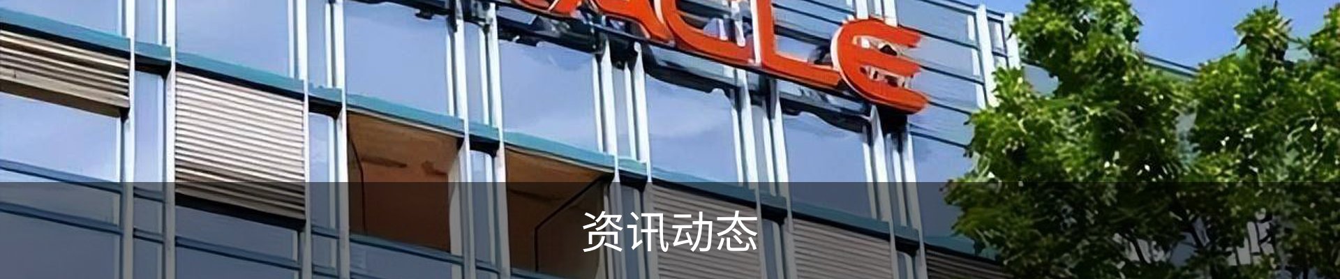 资讯动态